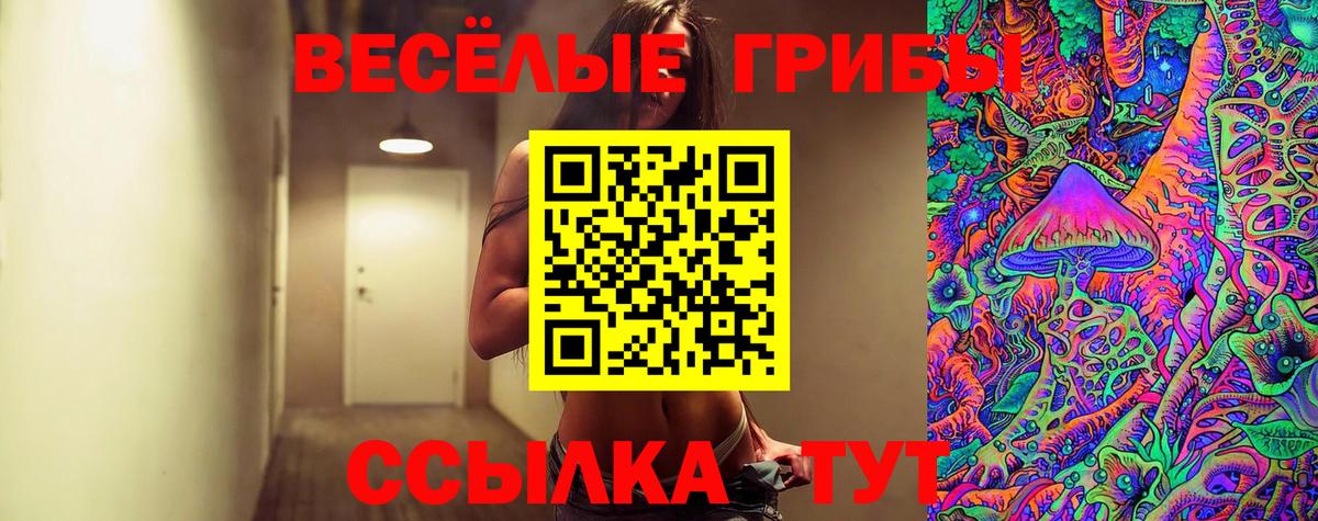Кимры  Галлюциногенные грибы прущие грибы  Вход с VPN 