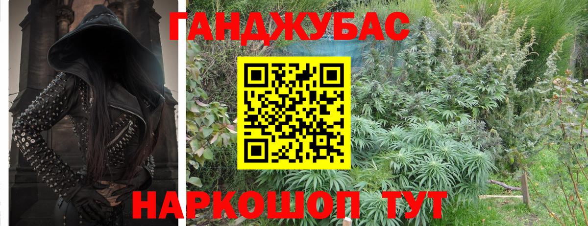Кимры  Каннабис Bruce Banner  Бошки марихуана гибрид  Вход с VPN  Каннабис план 